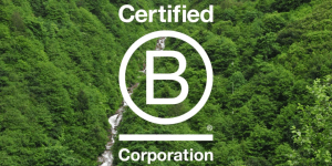 B Corp certified businesses in the MENA region