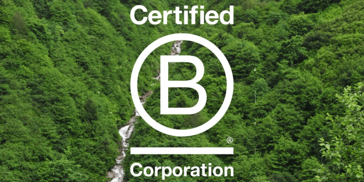 Read more about the article B Corp Movement Flourishes in the MENA Region