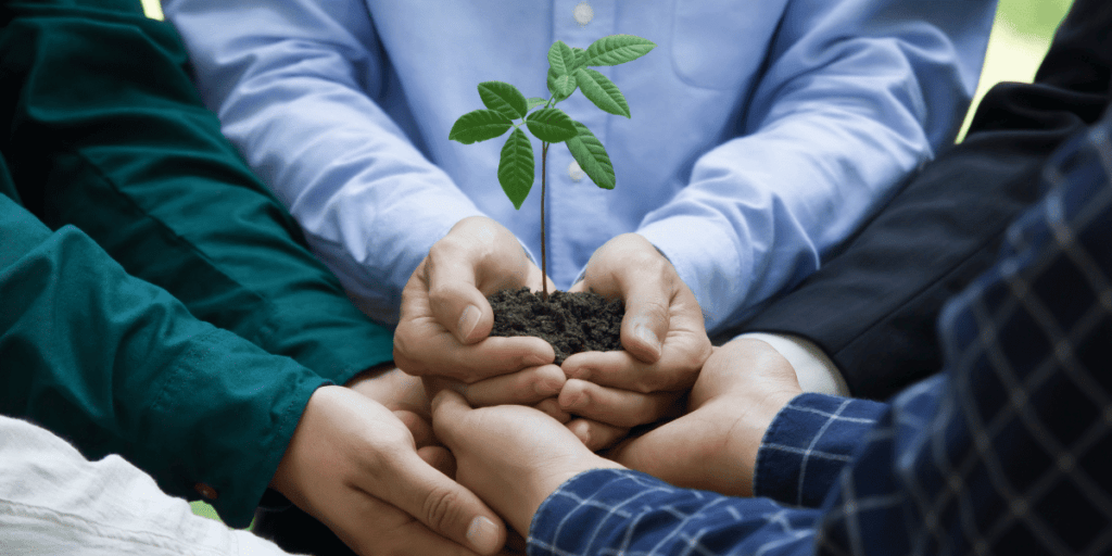 Green Plant growing from soil held by 4 people